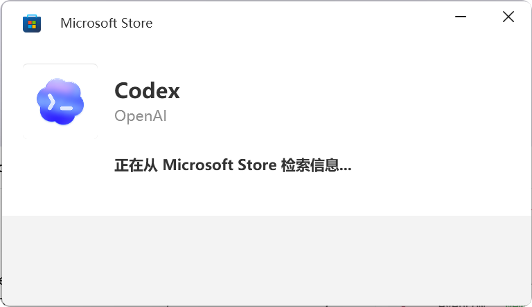 Codex Installer.exe_20260608_192007.png