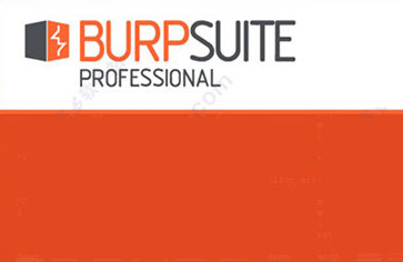 Burp Suite Professional V2.1.07