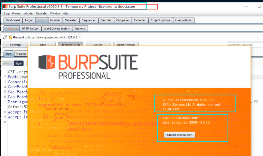 BurpSuiteProfessional-V2020.9.1